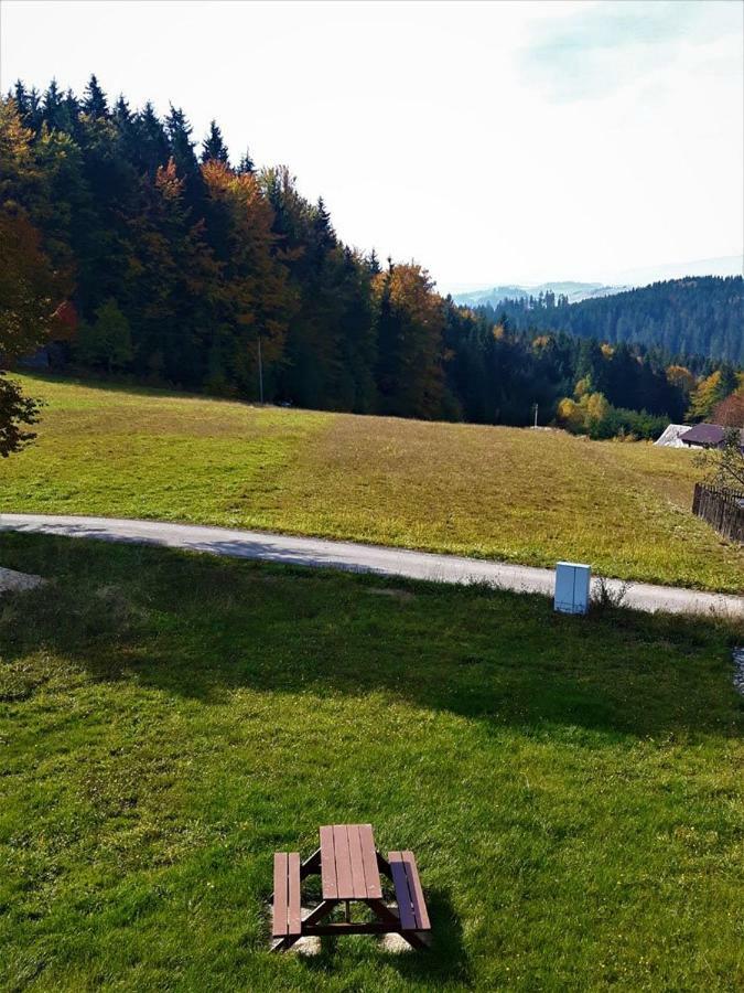 Apartament Z Kominkiem I Wanna Истебна Экстерьер фото